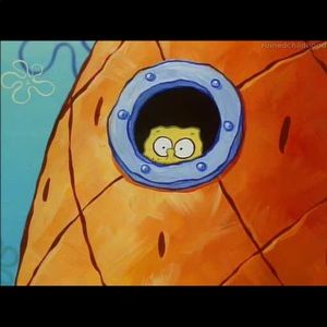 Meet your Posher, Gavin